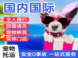 成都天府空运代理国际宠物托运 【国